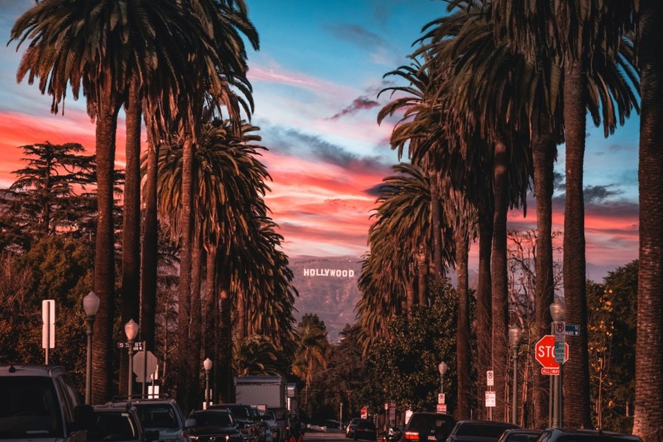 Colored sky and palm trees